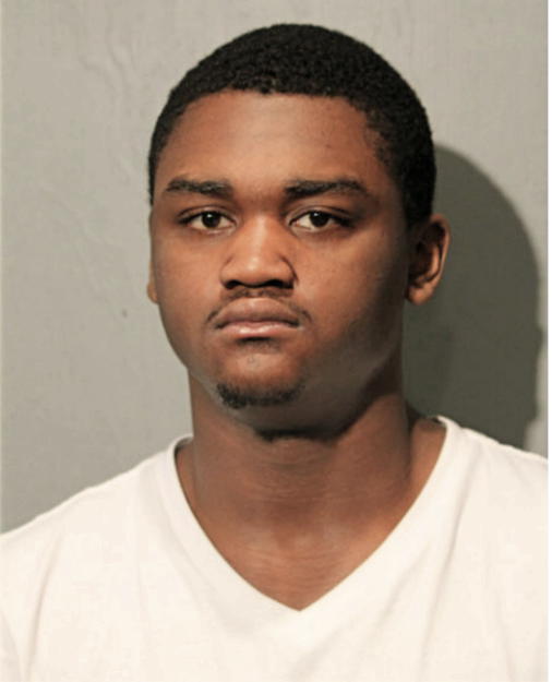 ERICK R JOHNSON, Cook County, Illinois