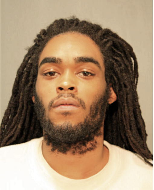 DARYL D LEE, Cook County, Illinois