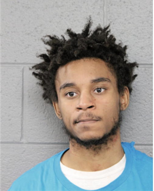 CHRISTOPHER D LEWIS, Cook County, Illinois