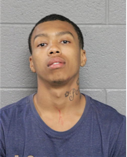 JUSTIN T MCGHEE, Cook County, Illinois