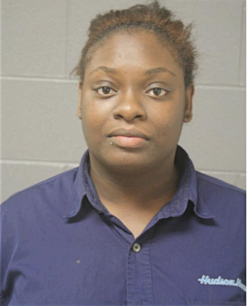 WENDY T MULLINS, Cook County, Illinois
