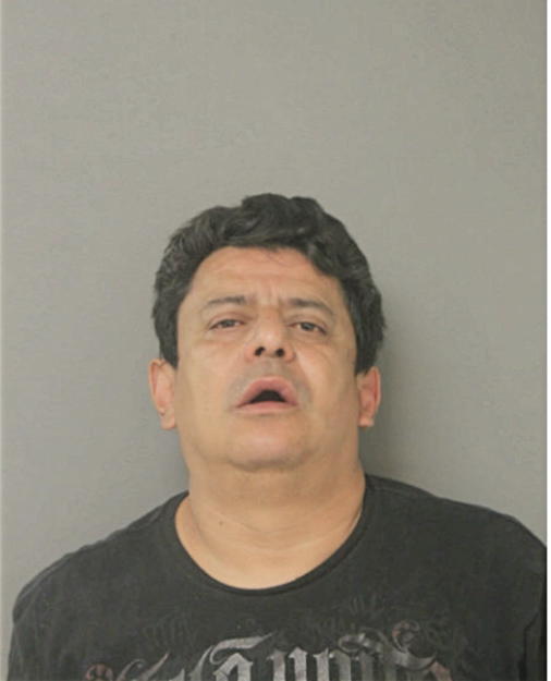 HECTOR A NEGRON, Cook County, Illinois