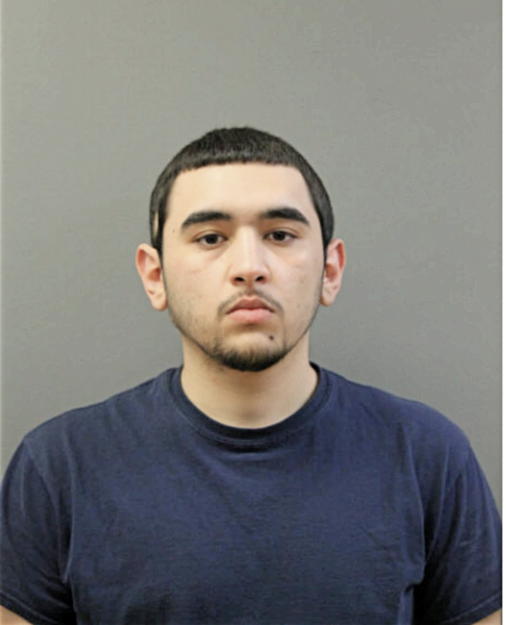 VICTOR J OCASIO, Cook County, Illinois