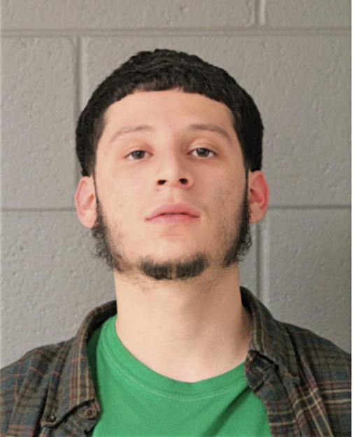 SEBASTIAN ORTEGA, Cook County, Illinois