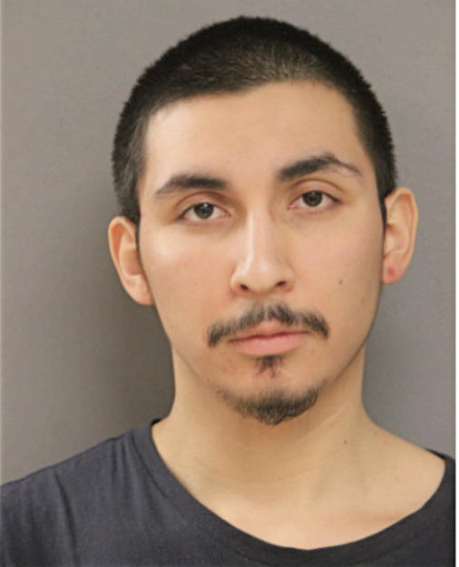 LEOPOLDO PATINO, Cook County, Illinois