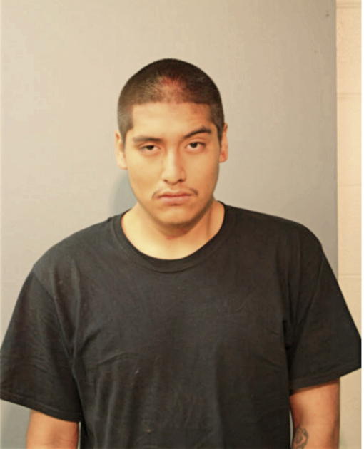 OSCAR G PERALTA, Cook County, Illinois