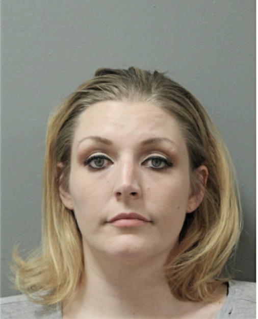 ASHLEY A RADEK, Cook County, Illinois
