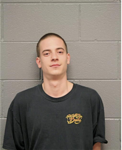 NICHOLAS A ROBERTSON, Cook County, Illinois