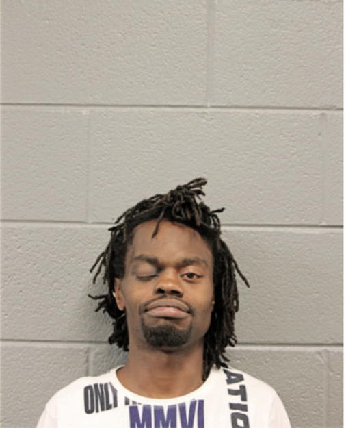 VINCENT J SNOWTON, Cook County, Illinois