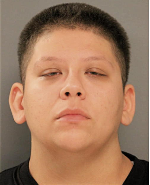 VANESSA A SOLIS, Cook County, Illinois