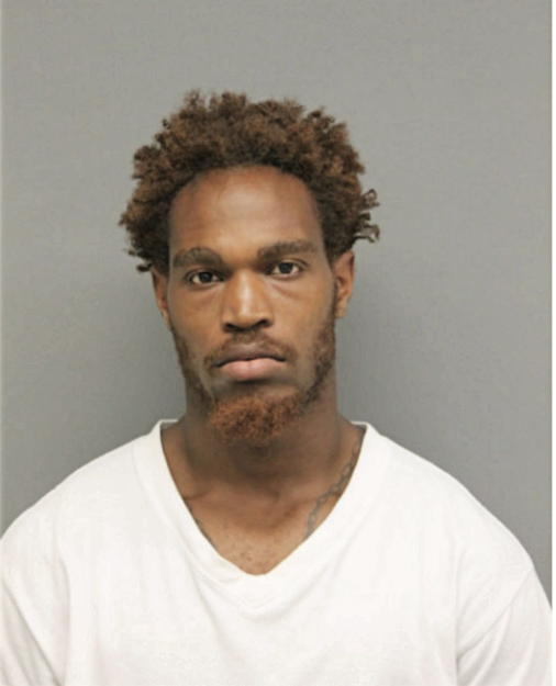 BRIAN A WILDER, Cook County, Illinois