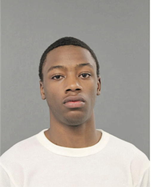 CHRISTOPHER T WILLIAMS, Cook County, Illinois