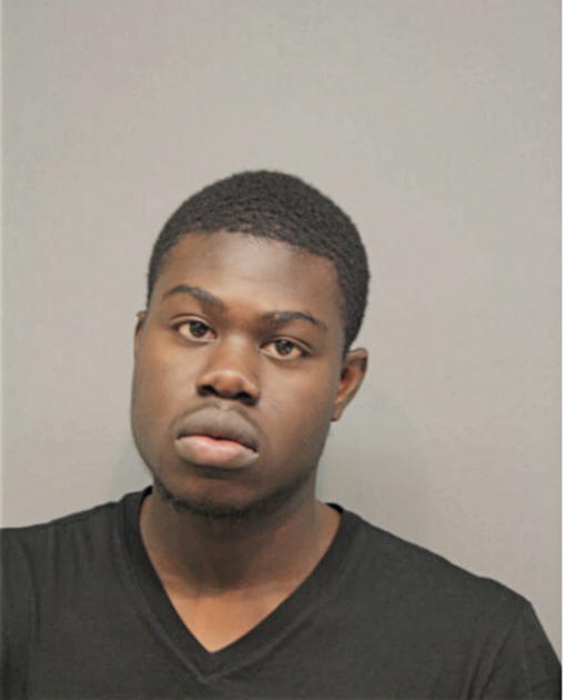 DAVID K ADJEI, Cook County, Illinois