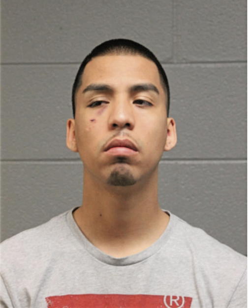 YOVANI ANDRADE, Cook County, Illinois
