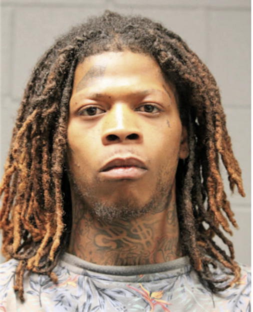 LOREN J AUSTIN-CHEWING, Cook County, Illinois