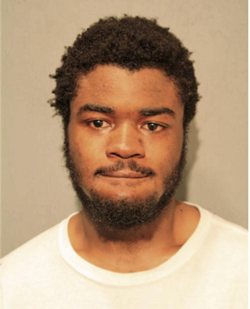 DEVANTE L BOLDEN, Cook County, Illinois