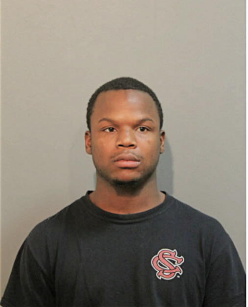 MICHAEL R BURCH, Cook County, Illinois