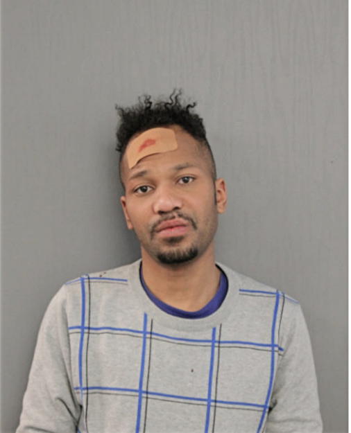 ANWAR M BURT, Cook County, Illinois