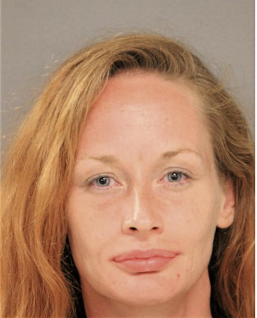 NICOLETTE M DIX, Cook County, Illinois