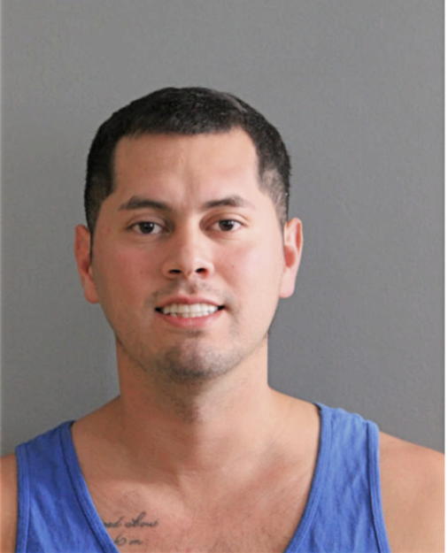EGDER A DOMINGUEZ, Cook County, Illinois