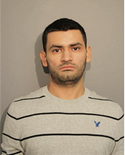 CARLOS M ECHEVERRIA, Cook County, Illinois