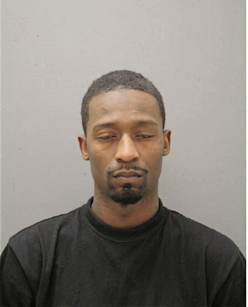 JAMES E FORD, Cook County, Illinois