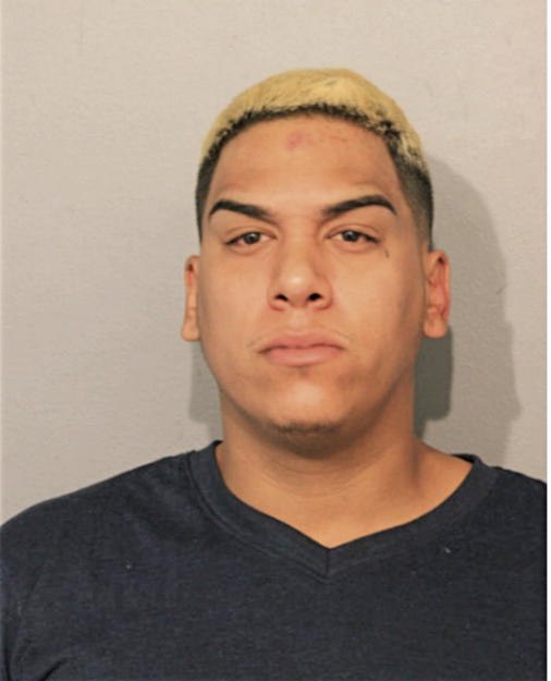 ALEXANDER JR HERNANDEZ, Cook County, Illinois