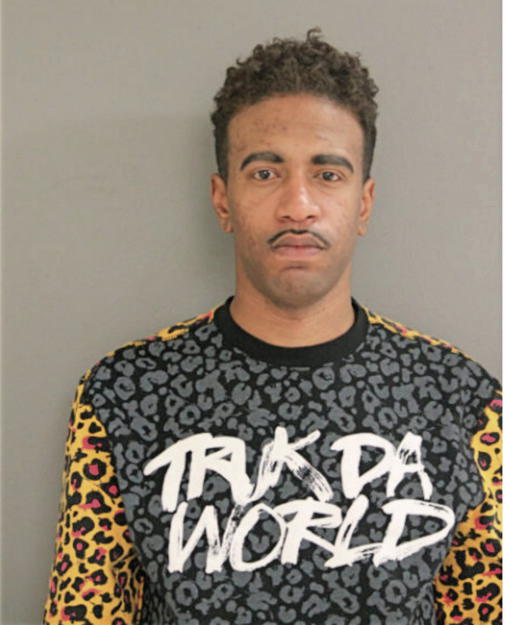 CALVIN R JOHNSON, Cook County, Illinois
