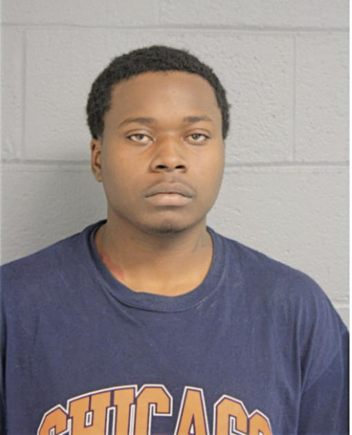 TERRENCE C JOHNSON, Cook County, Illinois