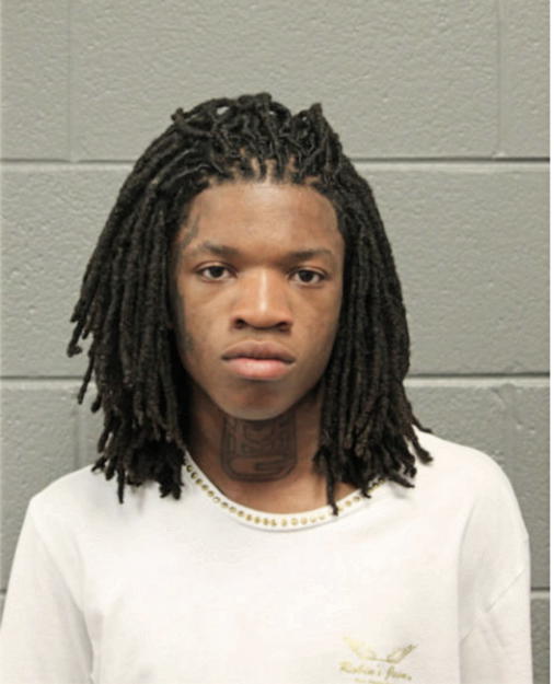 DONAMEEN R JONES, Cook County, Illinois