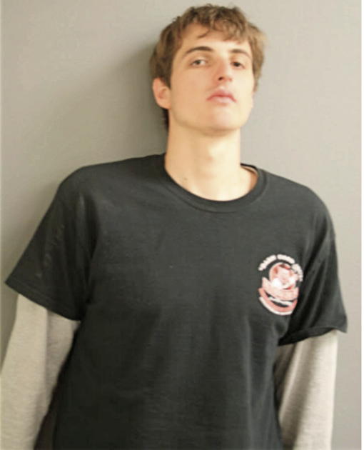 PAUL L LAMOUREUX, Cook County, Illinois