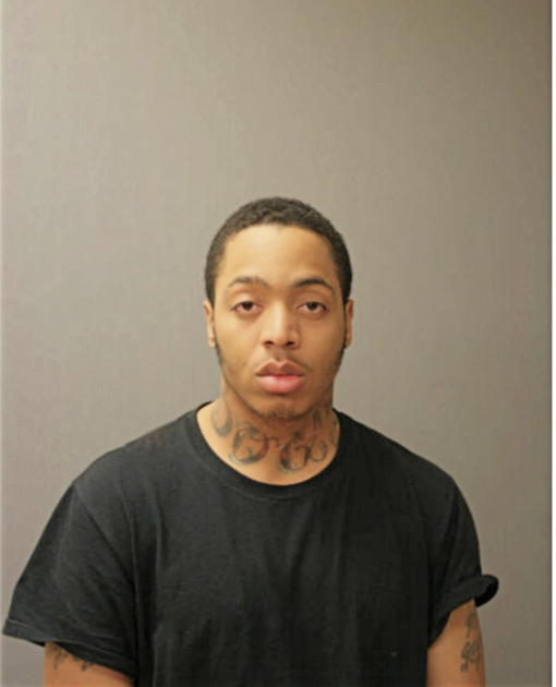 BRANDON L LANKING, Cook County, Illinois