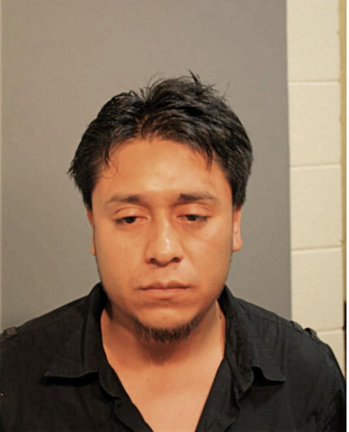 HECTOR M MATEO-CEJA, Cook County, Illinois