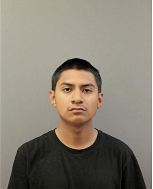 AYSTY J MONTOYA, Cook County, Illinois