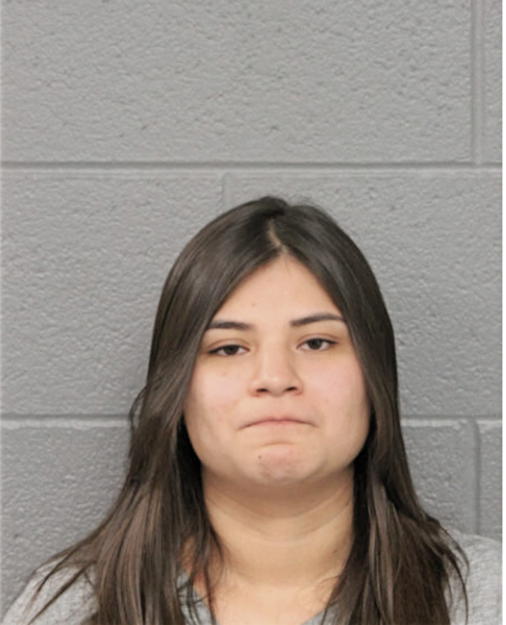 DALIA N PEREZ, Cook County, Illinois