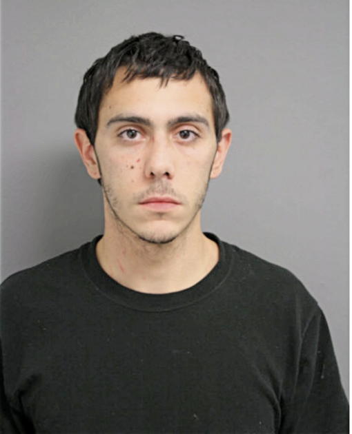 ROSS GRADL PHILLIPS, Cook County, Illinois