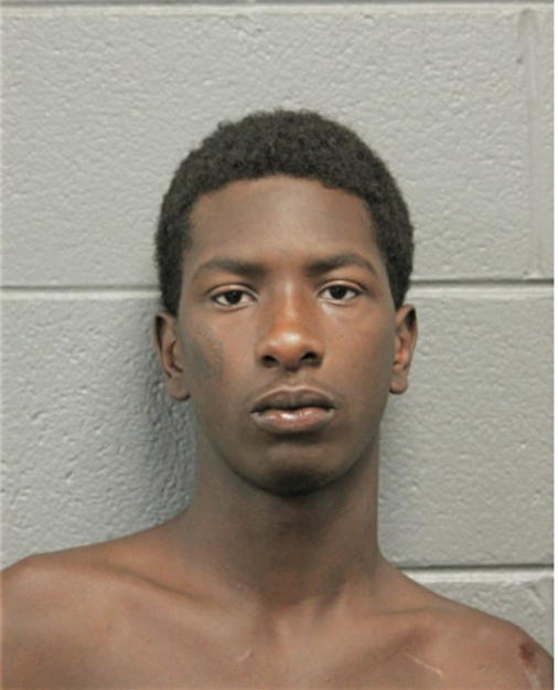 MICHAEL L RICHARDSON, Cook County, Illinois