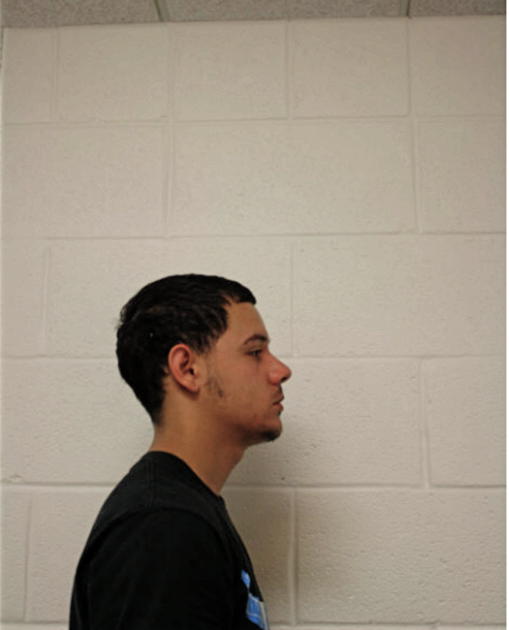 PABLO RIVERA, Cook County, Illinois