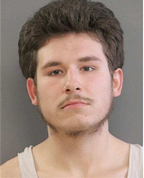 EMMANUEL SALINAS, Cook County, Illinois