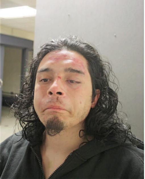 FABIAN VILLAGOMEZ, Cook County, Illinois