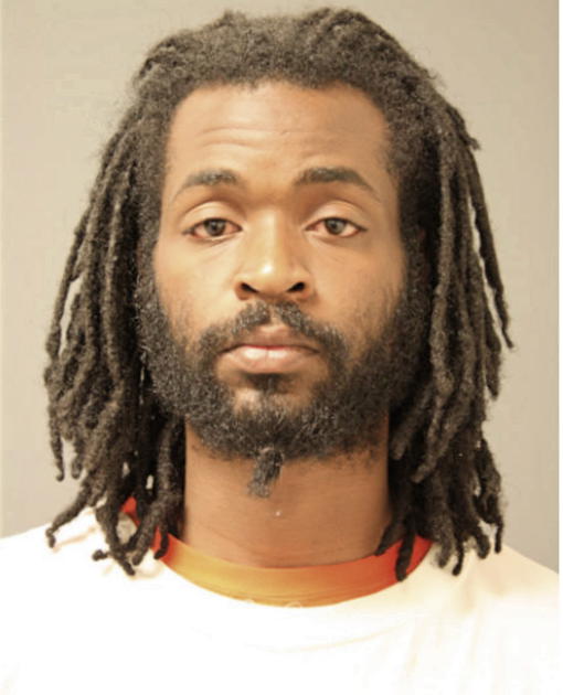 ERIK T WATTS, Cook County, Illinois
