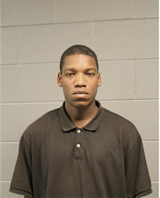 JAMES P ABRAHAM, Cook County, Illinois