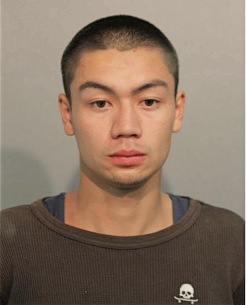STEVEN D APPLE, Cook County, Illinois