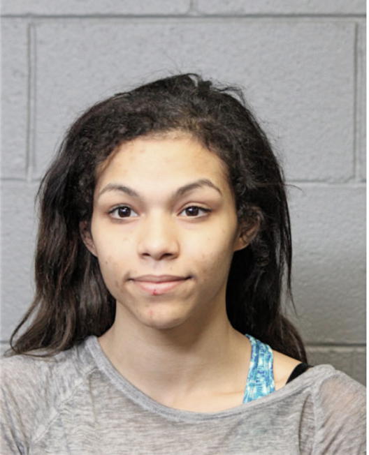 PAIGE E ARNOLDUSSEN, Cook County, Illinois