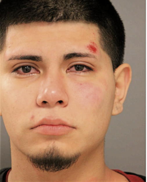 NELSON AVILES, Cook County, Illinois