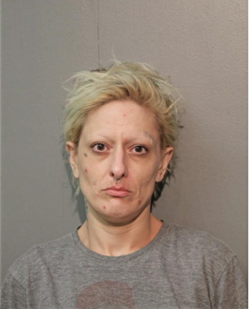 AMANDA L CONNE, Cook County, Illinois