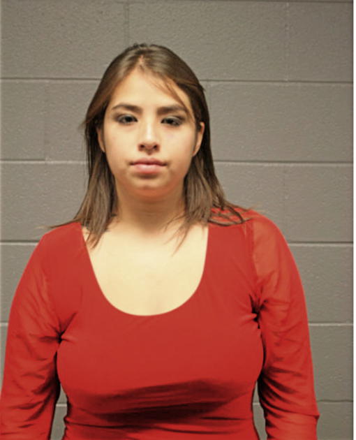 SILVIA FLORES, Cook County, Illinois