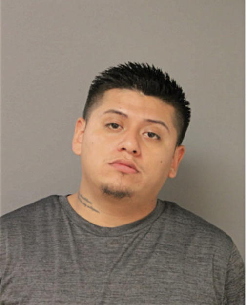 LUIS MELANCHOR GONZALEZ, Cook County, Illinois