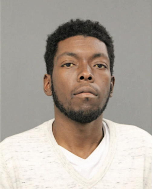 MICHAEL A HAYES, Cook County, Illinois