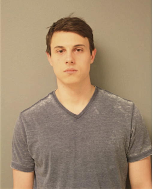ANTHONY J LOSS, Cook County, Illinois